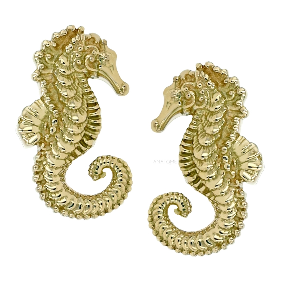 Anatometal Seahorse